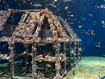 マリンワールド海の中道に投稿された画像（2023/9/24）