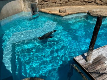 マリンワールド海の中道に投稿された画像（2023/9/24）