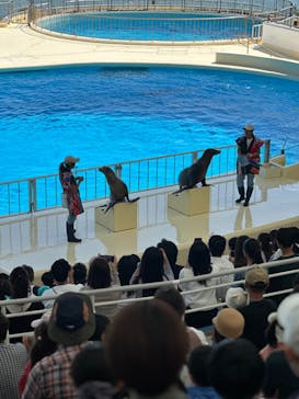 マリンワールド海の中道に投稿された画像（2023/9/24）