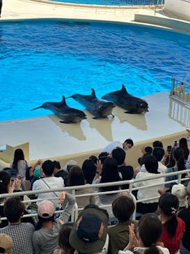 マリンワールド海の中道に投稿された画像（2023/9/24）