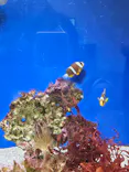 名古屋港水族館に投稿された画像（2023/9/24）