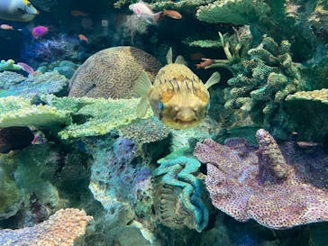 サンシャイン水族館に投稿された画像（2023/9/24）