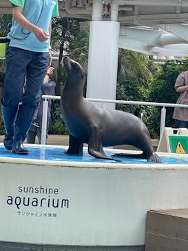 サンシャイン水族館に投稿された画像（2023/9/24）