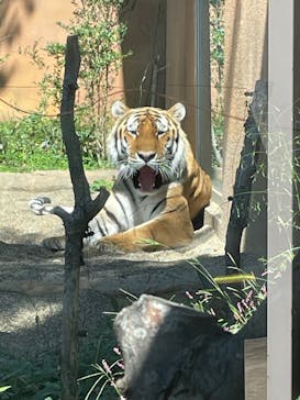 那須どうぶつ王国に投稿された画像（2023/9/24）