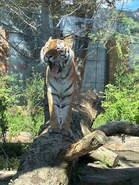 那須どうぶつ王国に投稿された画像（2023/9/24）