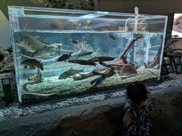 カワスイ 川崎⽔族館に投稿された画像（2023/9/24）