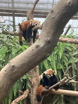 神戸どうぶつ王国に投稿された画像（2023/9/24）