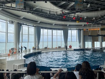 アクアワールド茨城県大洗水族館に投稿された画像（2023/9/24）