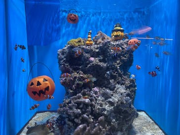 アクアワールド茨城県大洗水族館に投稿された画像（2023/9/24）