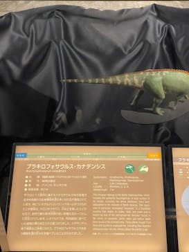福井県立恐竜博物館に投稿された画像（2023/9/24）