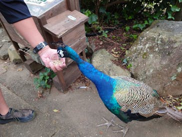 伊豆シャボテン動物公園に投稿された画像（2023/9/24）