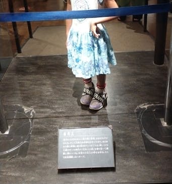 国立科学博物館に投稿された画像（2023/9/24）