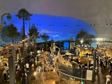 福井県立恐竜博物館に投稿された画像（2023/9/24）