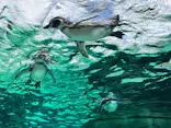 天王寺動物園に投稿された画像（2023/9/24）