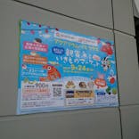 アクアリウムバス プラス　観賞魚といきものマーケットに投稿された画像（2023/9/24）