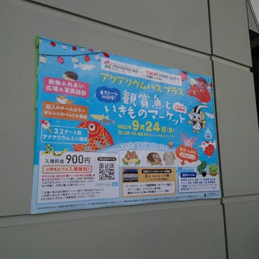 アクアリウムバス プラス　観賞魚といきものマーケットに投稿された画像（2023/9/24）