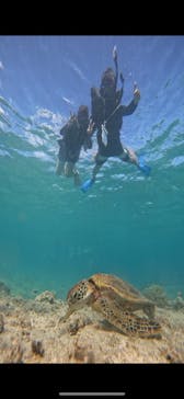 宮古島 ADVENTURE PiPi（ミヤコジマ アドベンチャー ピピ）に投稿された画像（2023/9/24）