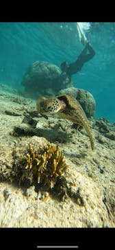 宮古島 ADVENTURE PiPi（ミヤコジマ アドベンチャー ピピ）に投稿された画像（2023/9/24）