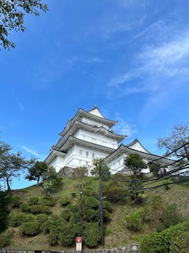 小田原城に投稿された画像（2023/9/24）