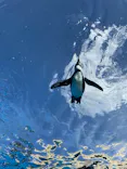 サンシャイン水族館に投稿された画像（2023/9/24）