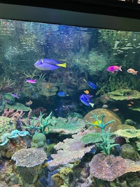 サンシャイン水族館に投稿された画像（2023/9/24）