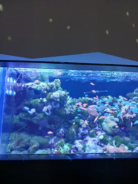 マクセル アクアパーク品川に投稿された画像（2023/9/24）