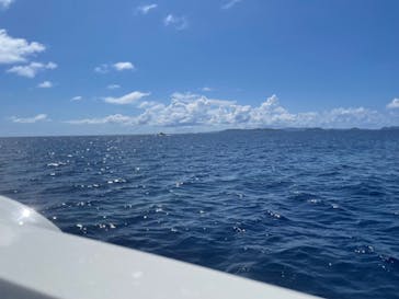 Sea World（シーワールド）に投稿された画像（2023/9/24）