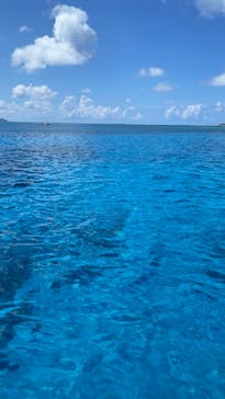 Sea World（シーワールド）に投稿された画像（2023/9/24）