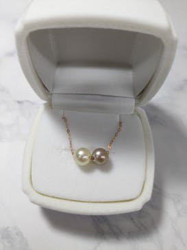 三重県真珠に投稿された画像（2023/9/24）