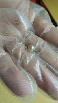 三重県真珠に投稿された画像（2023/9/24）