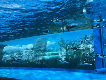 サンシャイン水族館に投稿された画像（2023/9/24）