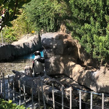 サンシャイン水族館に投稿された画像（2023/9/24）