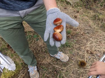 農業公園信貴山のどか村に投稿された画像（2023/9/24）
