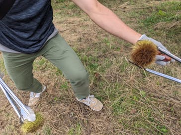 農業公園信貴山のどか村に投稿された画像（2023/9/24）