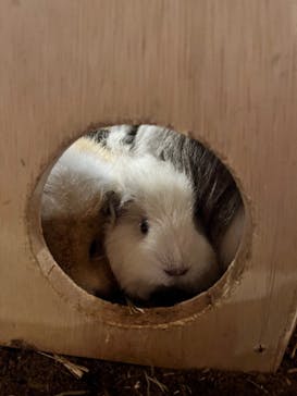 伊豆シャボテン動物公園に投稿された画像（2023/9/24）