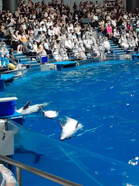 マクセル アクアパーク品川に投稿された画像（2023/9/24）