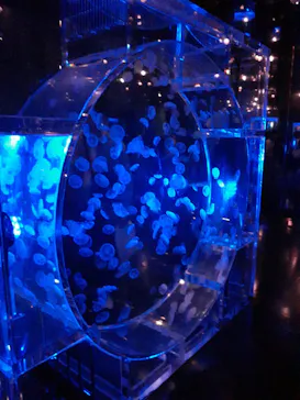 マクセル アクアパーク品川に投稿された画像（2023/9/24）