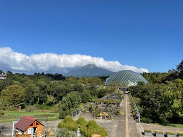 とっとり花回廊に投稿された画像（2023/9/24）