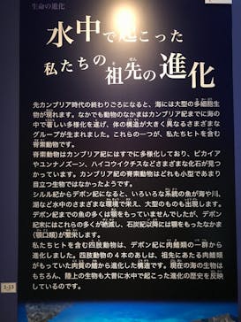 特別展「海　―生命のみなもと―」（国立科学博物館）に投稿された画像（2023/9/24）
