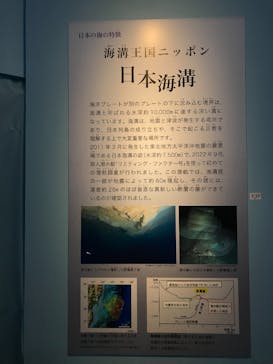 特別展「海　―生命のみなもと―」（国立科学博物館）に投稿された画像（2023/9/24）