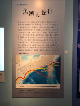 特別展「海　―生命のみなもと―」（国立科学博物館）に投稿された画像（2023/9/24）