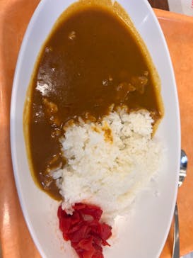 国立科学博物館に投稿された画像（2023/9/24）