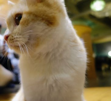 アソビュー！ポイントに投稿された画像（2023/9/24）