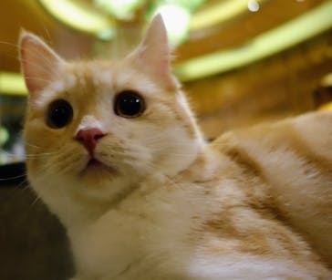 アソビュー！ポイントに投稿された画像（2023/9/24）