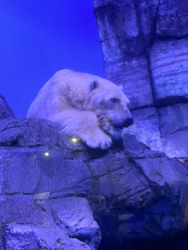 横浜・八景島シーパラダイスに投稿された画像（2023/9/24）