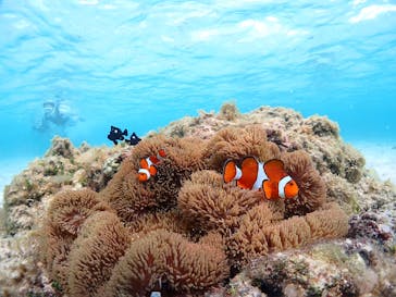 CHAMP TOUR　宮古島に投稿された画像（2023/9/24）