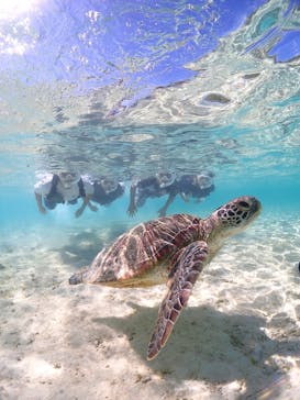 CHAMP TOUR　宮古島に投稿された画像（2023/9/24）