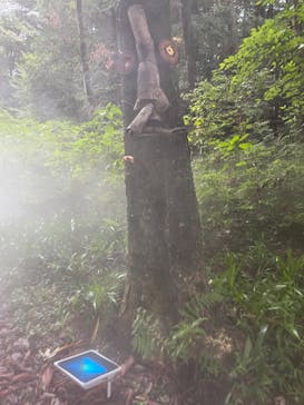 ムーミンバレーパークに投稿された画像（2023/9/24）