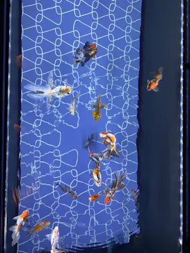 すみだ水族館に投稿された画像（2023/9/24）