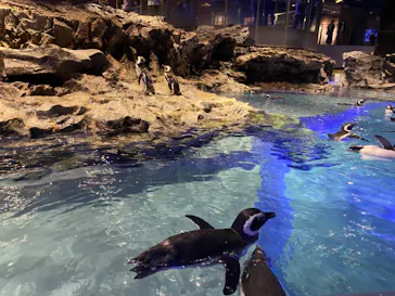 すみだ水族館に投稿された画像（2023/9/24）